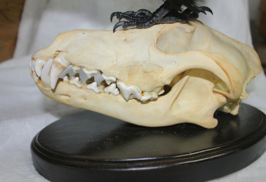 1466a3843807fcbb4deea3eecf38f5fe